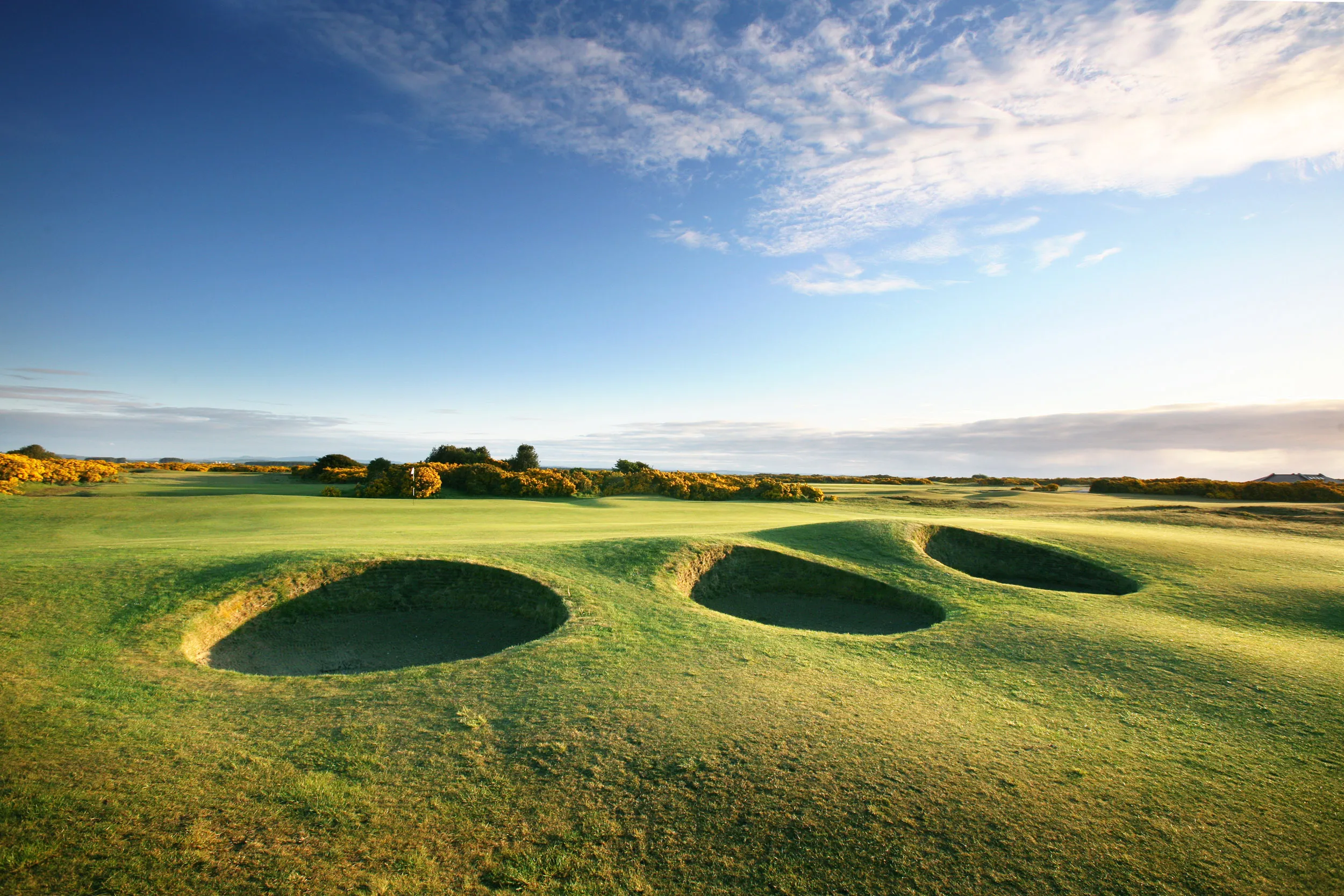 New Course