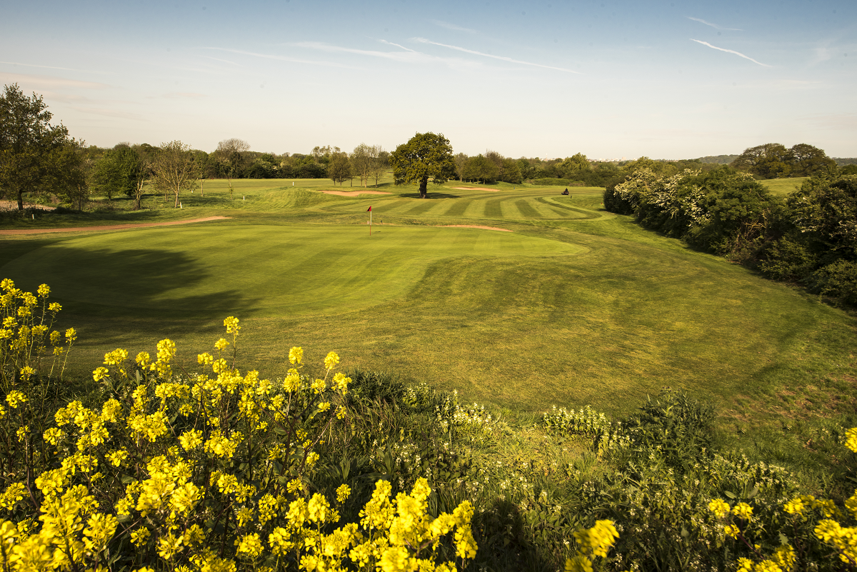 The Championship Golf Course