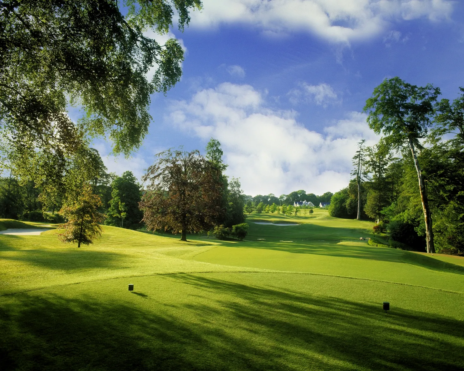 Mount Juliet