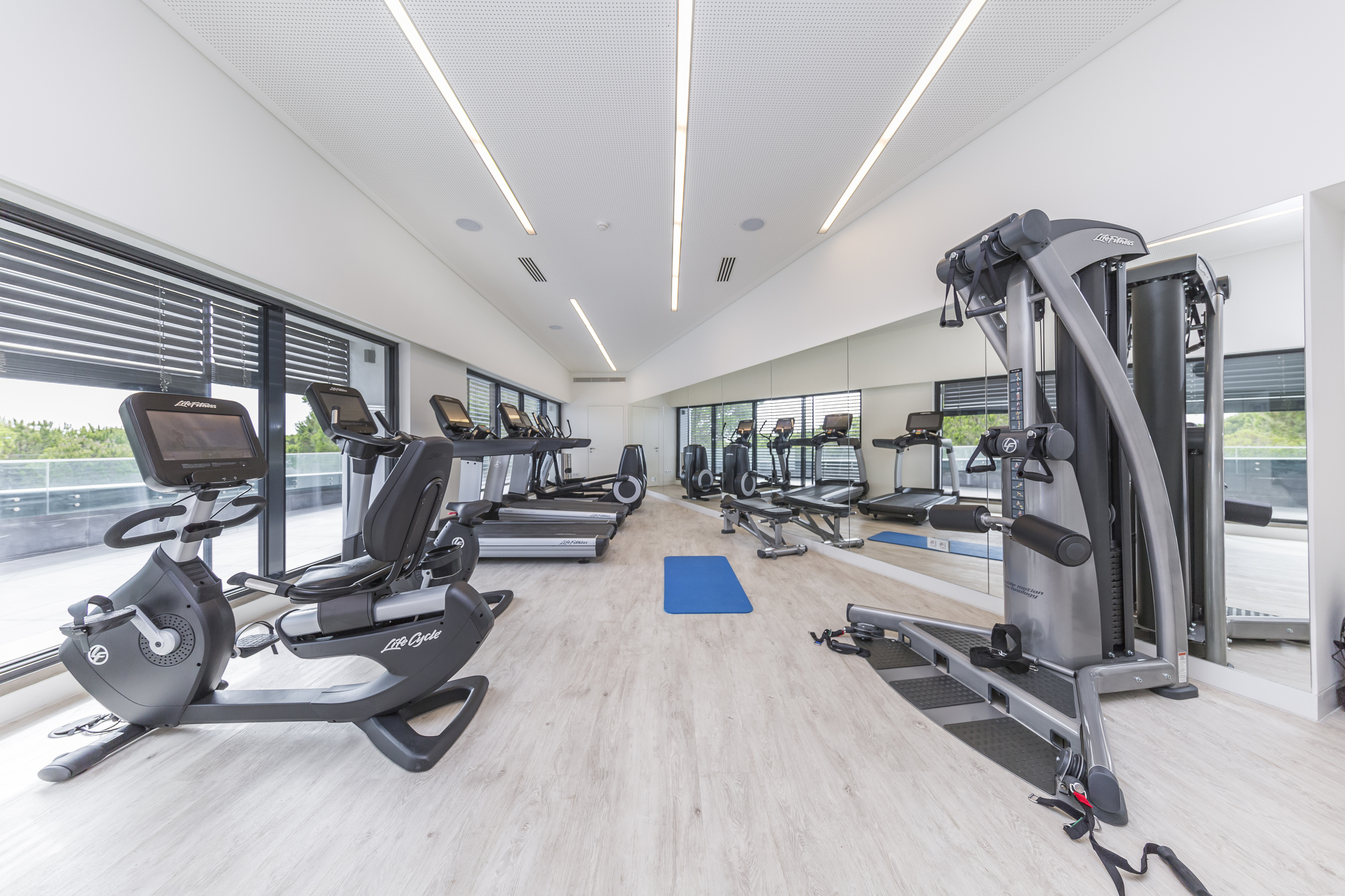 The Prime Energize Monte Gordo