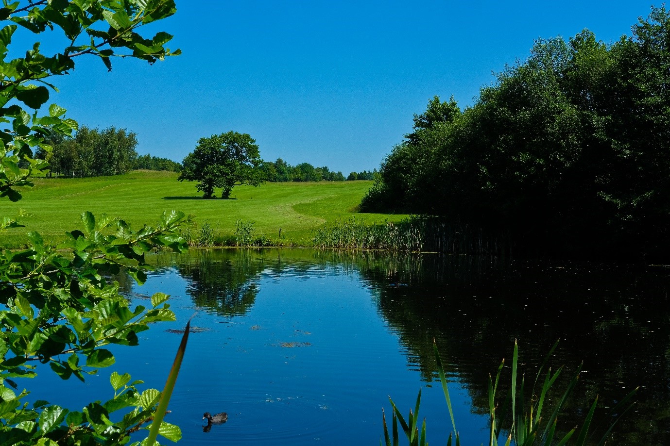 Wychwood Park Hotel