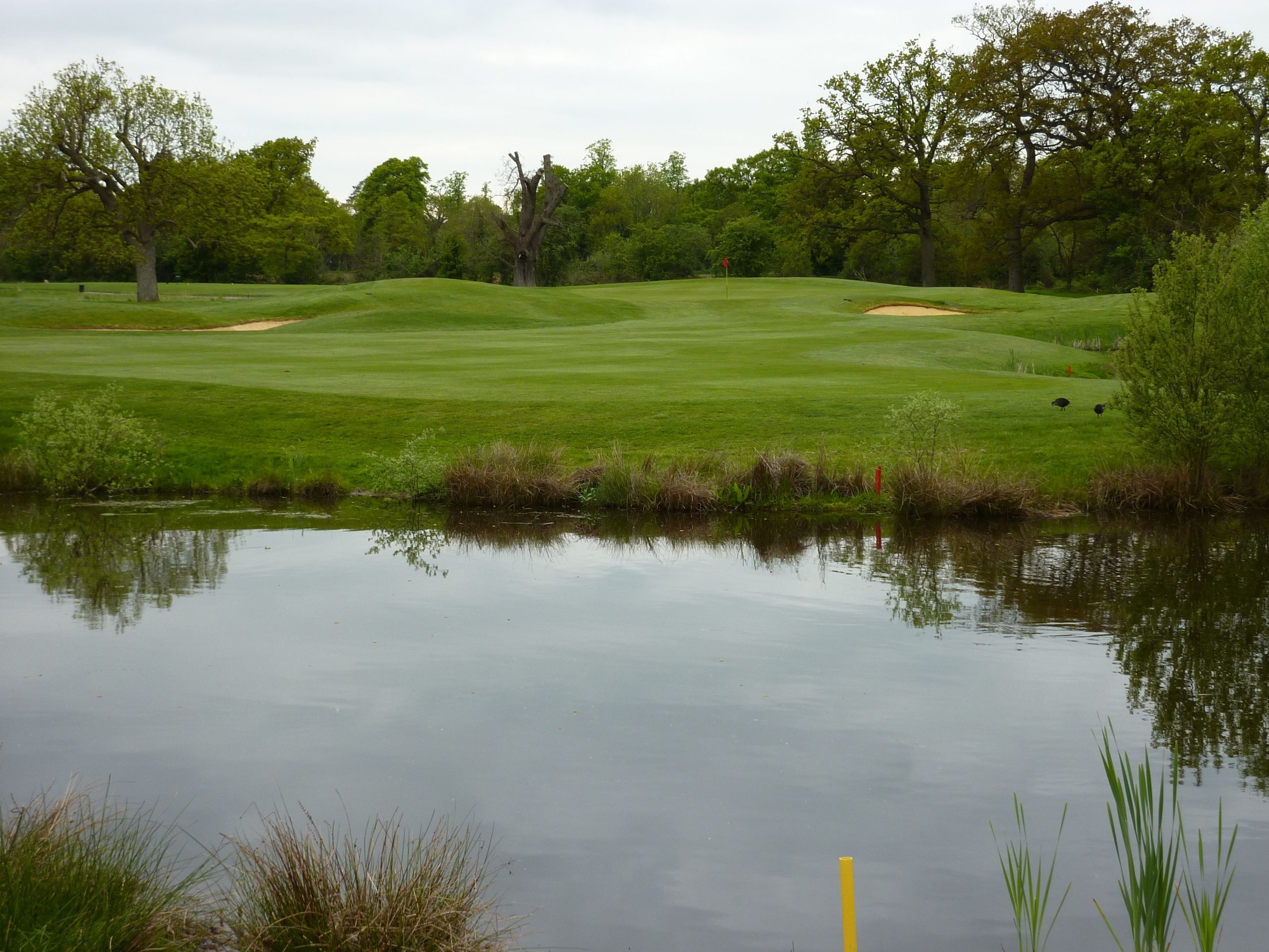 De Vere Wokefield Estate Golf Club