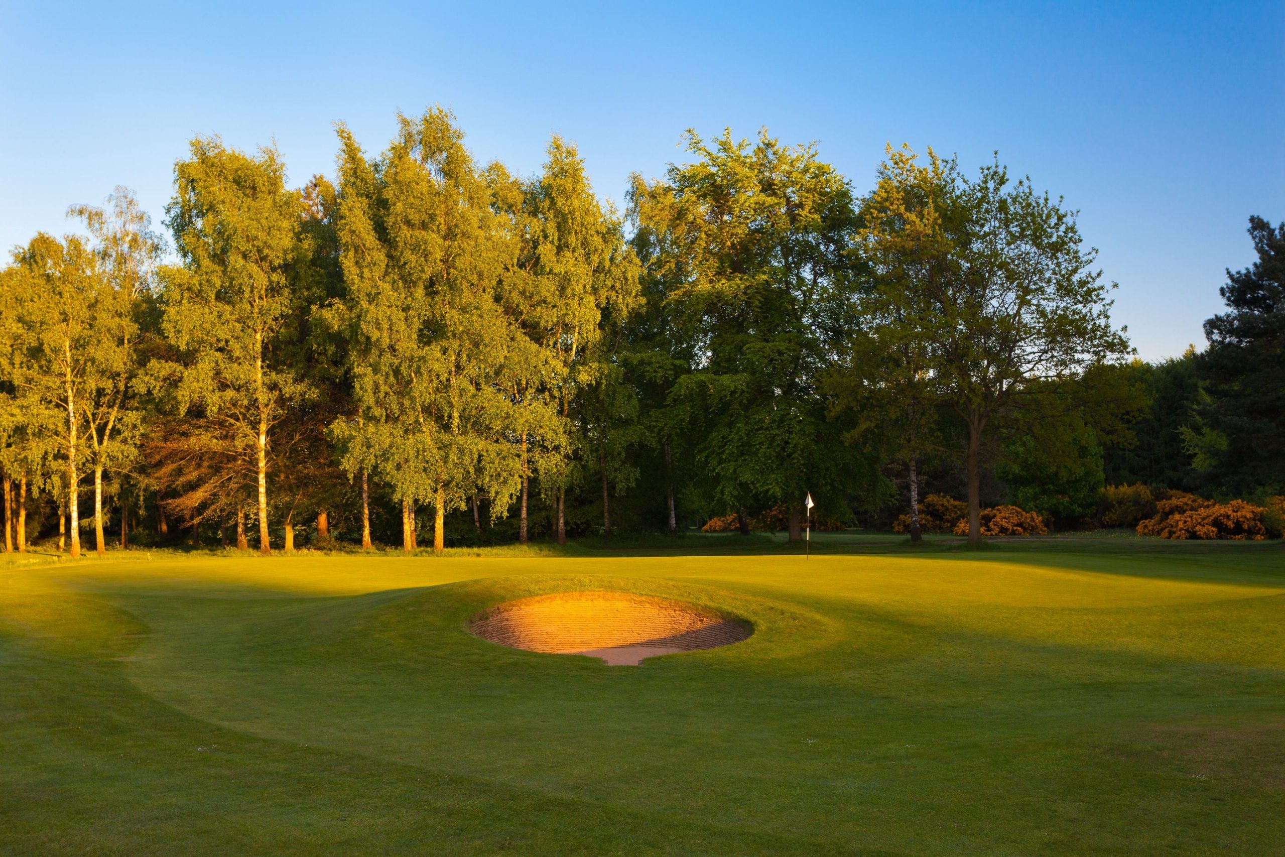 Forest Pines Hotel, Spa & Golf Resort