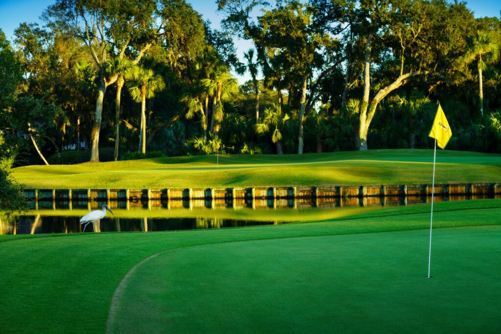 Hole 8 on the Arthur Hills Course in South Carolina