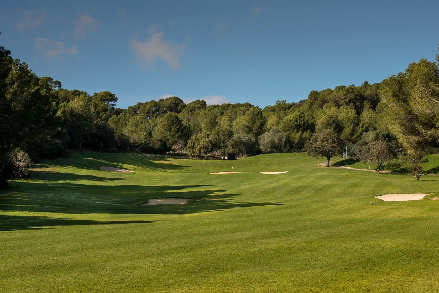 Real Golf de Bendinat