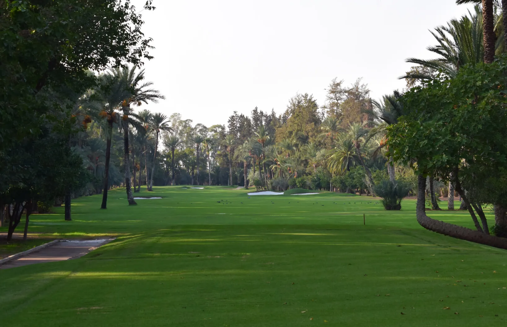 Royal Golf Marrakech