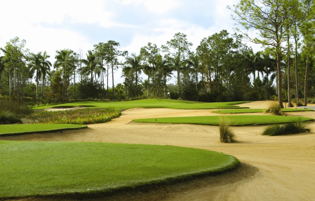 Play golf in Florida at Tiburon Golf Club