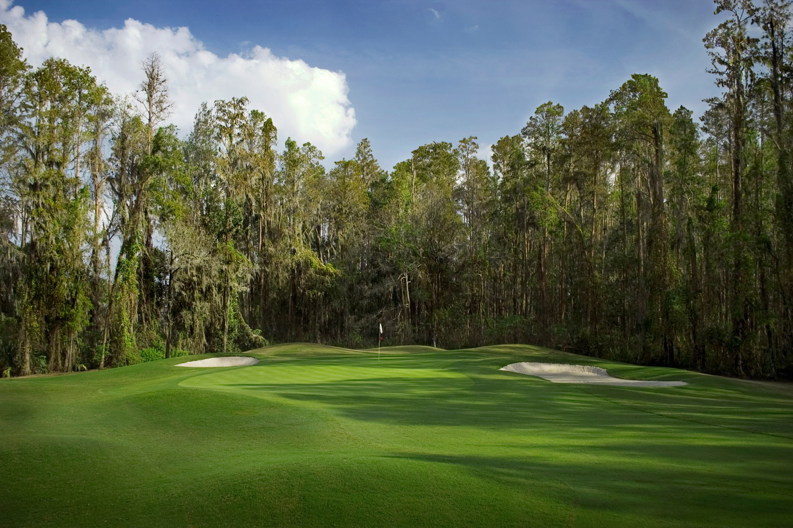 Saddlebrook Resort