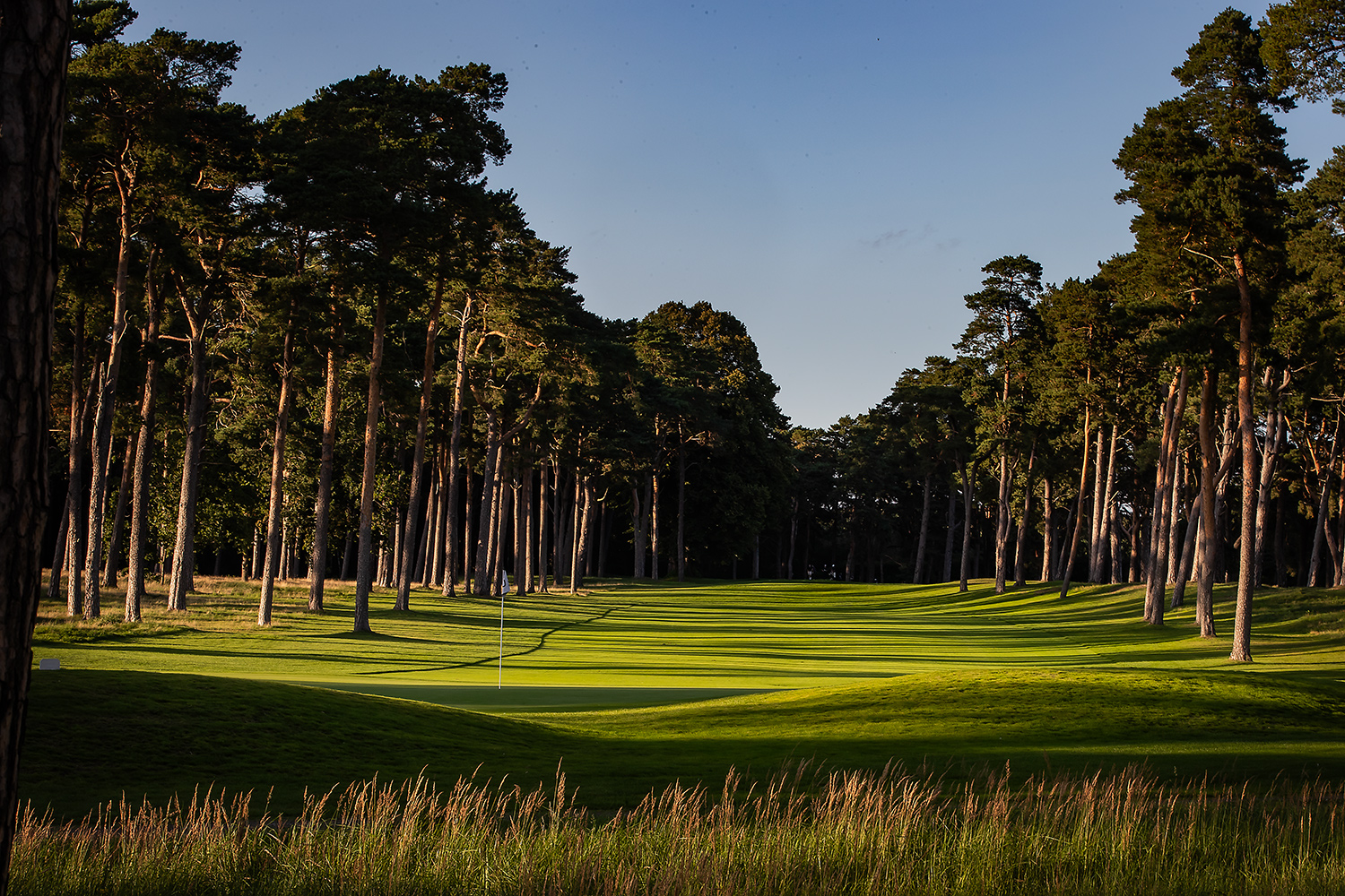 Nordic Golf Trail