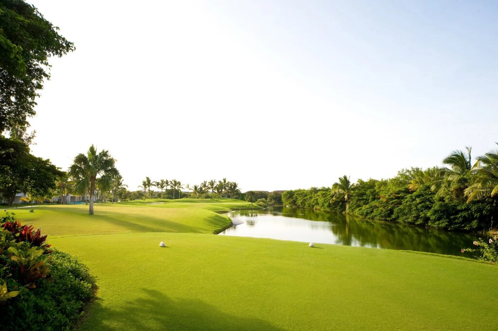 Play golf in Dominican Republic at Cocotal Golf & Country Club