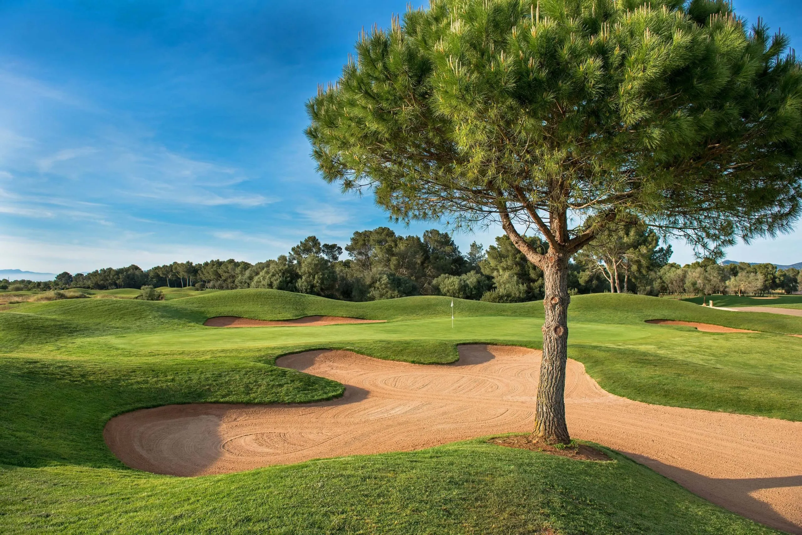 Hacienda Son Antem Golf Resort