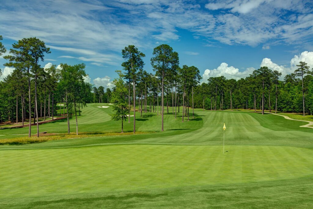 Play golf in Georgia at Champions Retreat Golf Club Bluff Course